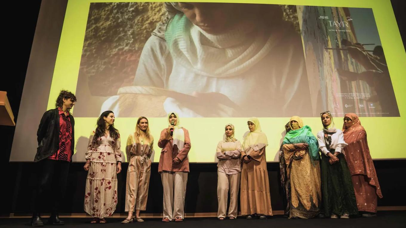 فيلم طير