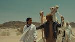 فيلم هجرة في مهرجان فينيسيا السينمائي 2025