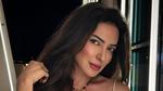 تألق نجوم الدراما السورية في التقديم التلفزيوني