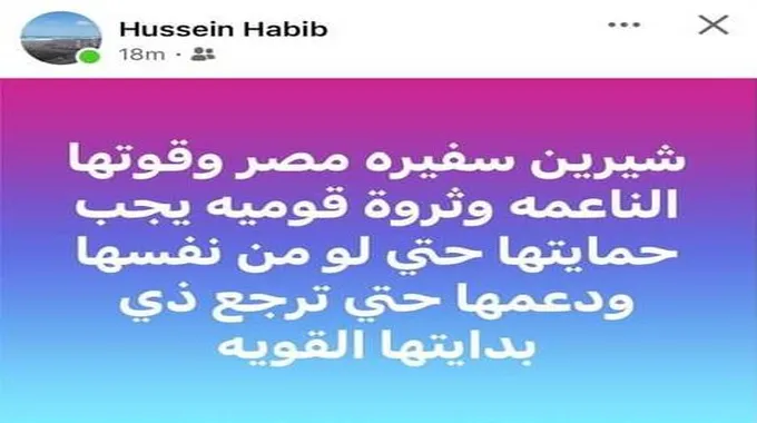 شقيق شيرين عبد الوهاب يفتح النار على حسام