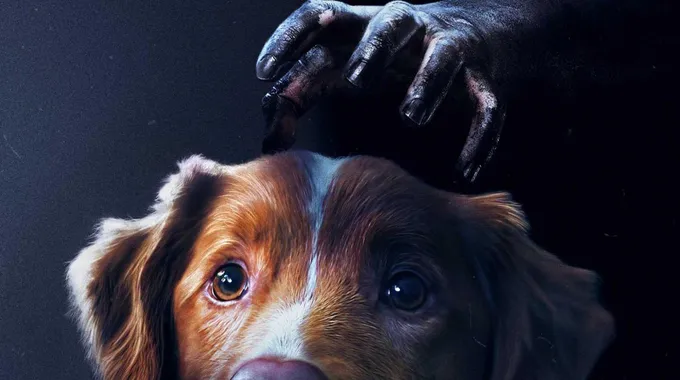 فيلم Good Boy: رعب فريد من نوعه