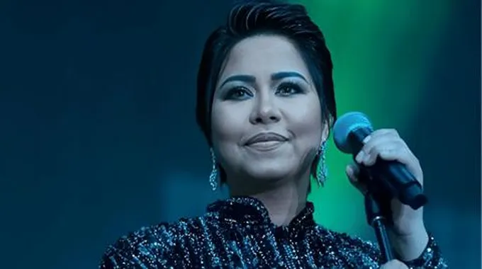 محامي شيرين: الفنانة خسرت مليون دولار بعد سرقتها