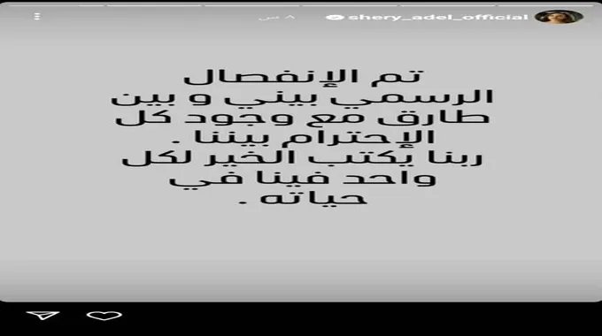 في عيد الحب.. طلاق شيري عادل وطارق صبري